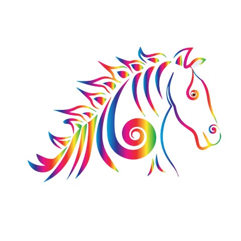 Horse & Saddle Care